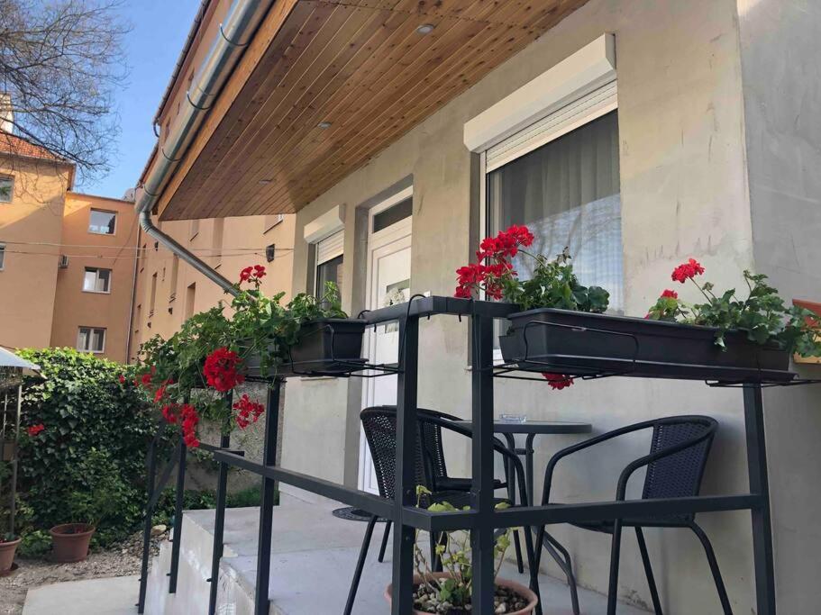 Mora Apartman 3. Kiskunfélegyháza Kültér fotó